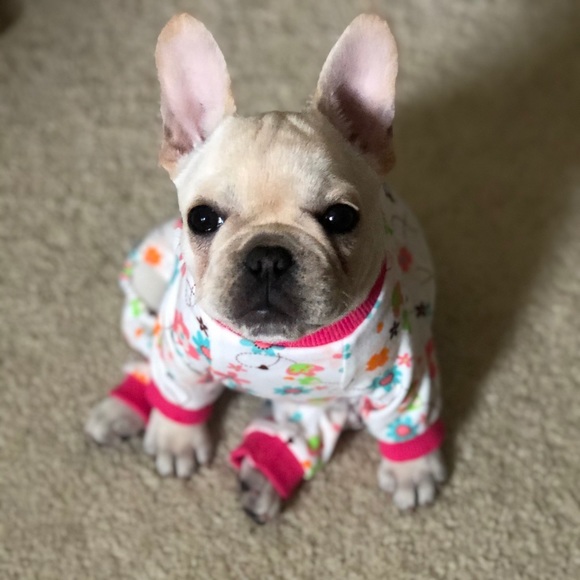 Meet your Posher, Morgan - Picture 2 of 4